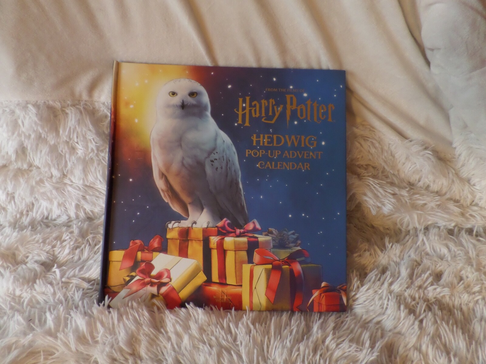 Harry Potter: Hedwig Pop-Up Advent Calendar, 9781647227609 | eBay