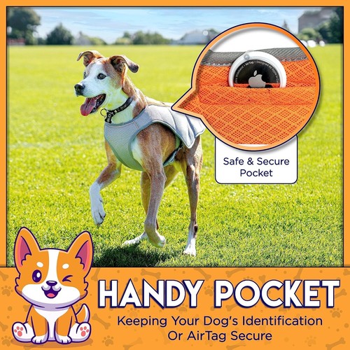 Cooling Vest for Small, Medium, and Large Dogs - Evaporative Vest for Hot Summer - Picture 5 of 7