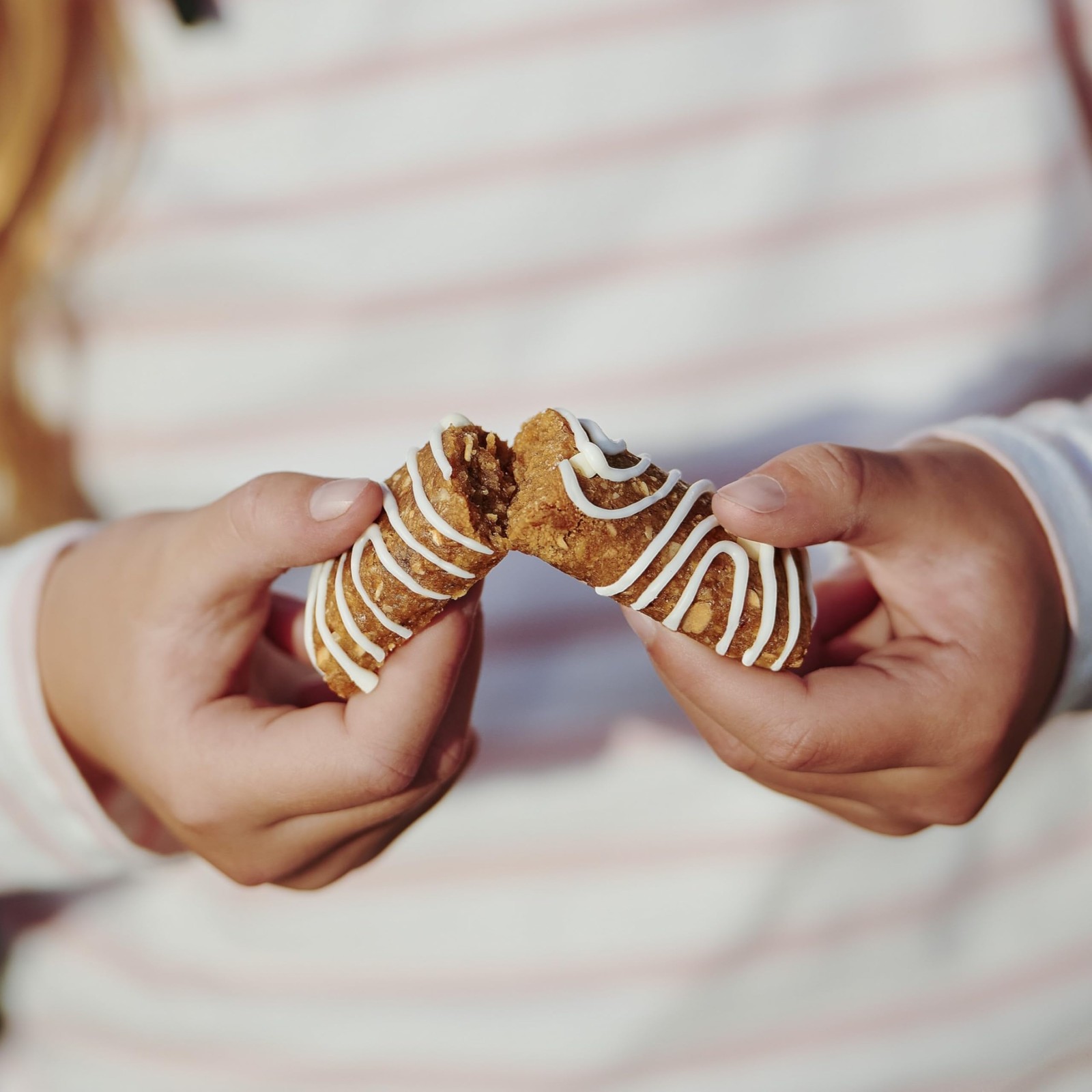 - Iced Oatmeal Cookie - Soft Baked Whole Grain Snack Bars - Usda