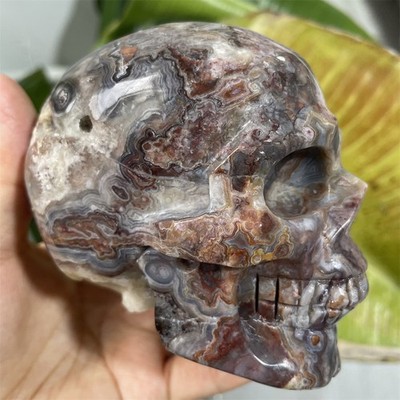 1.6LB 3.3'' Natural Mexican Lace Agate Skull Crystal Quartz Carving Decoration