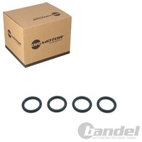 Dr.Motor Dichtung AnsaugbrÜCke Passend FüR CitroËN C4 C5 C8 DS4 DS5 Jumpy Ds Ds