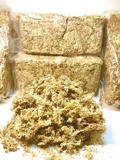Premium Sphagnum Moss 150gram Minibae, Ethically Grown  Harvested