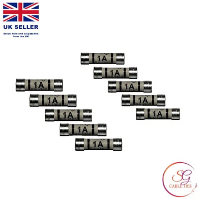 SG CABLETIES 1A Amp Domestic Fuses Plug Top Household Mains Fuse Cartridge
