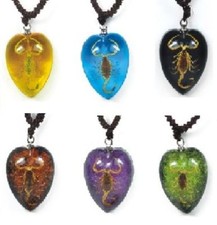 Real Insect Golden Scorpion Heart Necklace Love Pendent Charm Valentines Gift