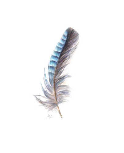 ORIGINAL Watercolour Painting Blue Jay Feather. 8” × 10” by Mila Ansell - Picture 2 of 3