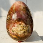 Natural Petrified Wood Egg Quartz Crystal Fossil Mineral 6460g — photo 7