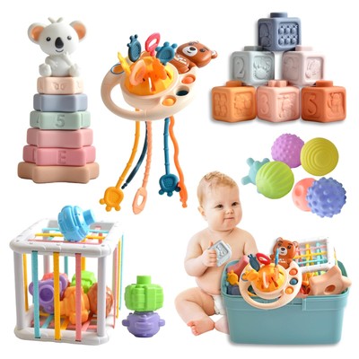 Baby Toys 6 -18 Months，Montessori Toys for Babies 1-2 Years Old,Includes Bear...