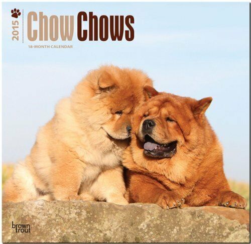 By BrownTrout Chow Chows 2015 Square 12x12 - Picture 1 of 1
