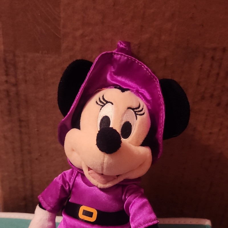 Disney Minnie Mouse Halloween Witch Plush Purple Costume Small 2007 MPN 4331
