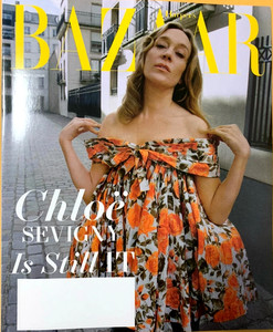 Chloé Sevigny Book | eBay