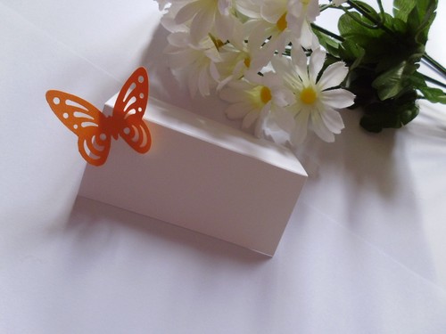 20 SHIMMER PEARL PEARLESCENT BUTTERFLY WEDDING PLACE NAME PLACECARDS CARDS - Picture 40 of 47