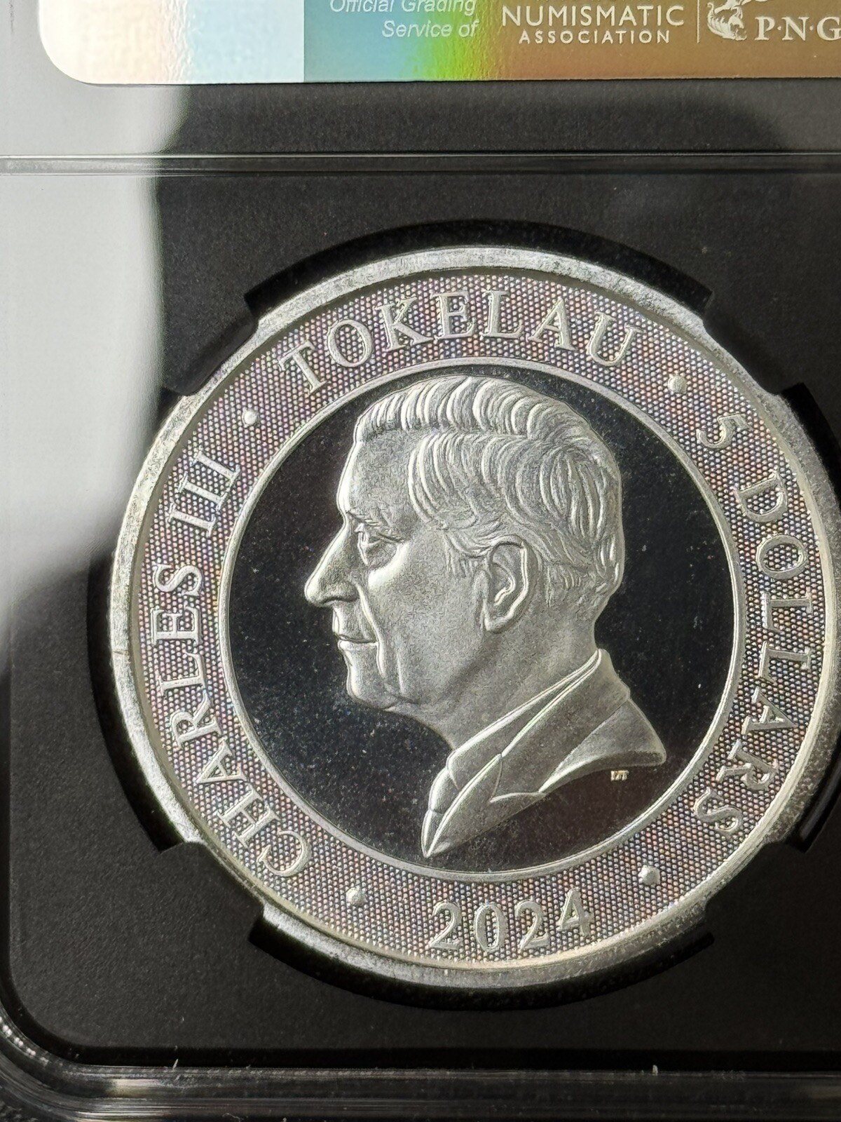 Picture 5 of 5