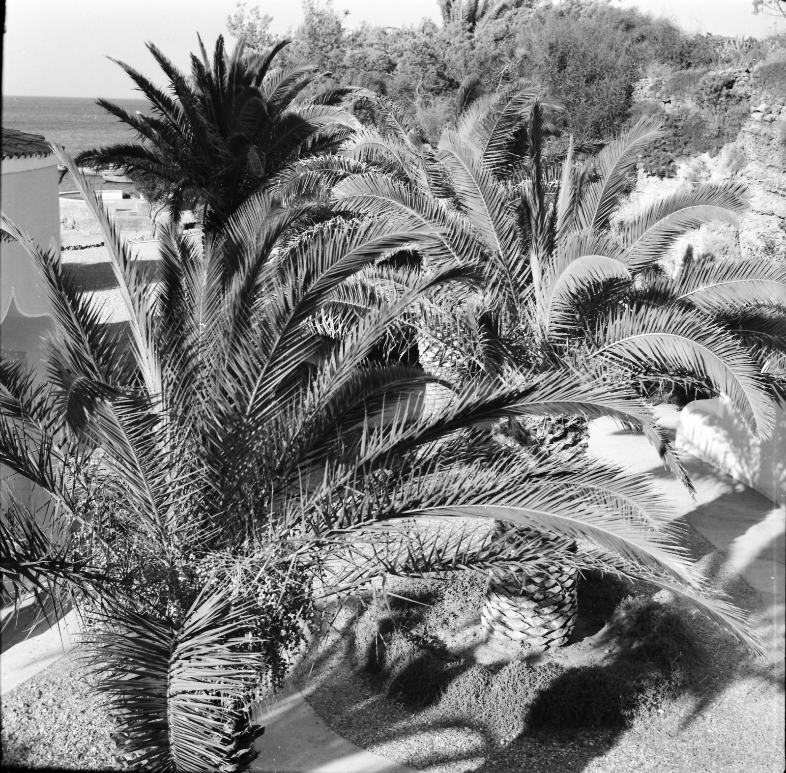 Foto 2 di 5