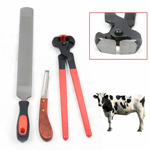 3in1 Horse Hoof Trimming Farrier Tool Horseshoe File Rasp Cutter Knife Kit Farm - Picture 1 of 12