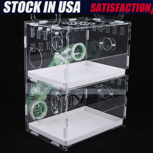Deluxe 2-Levels Acrylic Hamster Palace Mouse Habitat Gerbil Home Cage Rat House - Picture 5 of 12