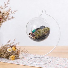 Porta Banane Supporto Banana Gancio per Frutta Stand Metallo con Design