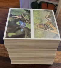 Brooke Bond Double Card Sets Teenage Mutant Turtles, Natural Neighbours & More