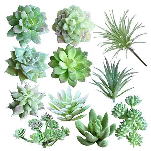 Dulau 11 Pezzi Unpotted Falso Piante Succulente, Mini Piante Grasse (F5B)