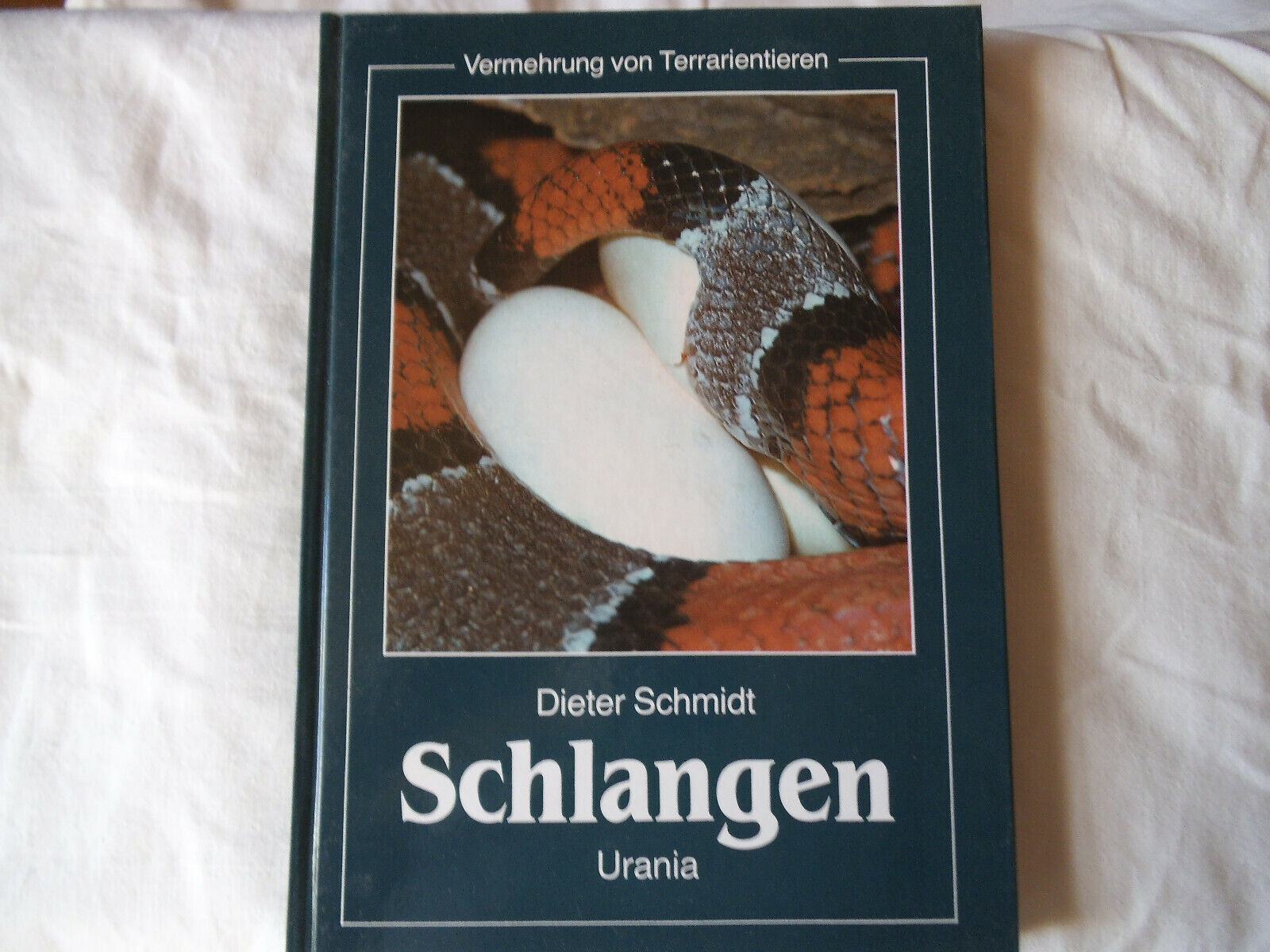Dieter Schmidt: Schlangen. Vermehrung von Terrarientieren - Dieter Schmidt