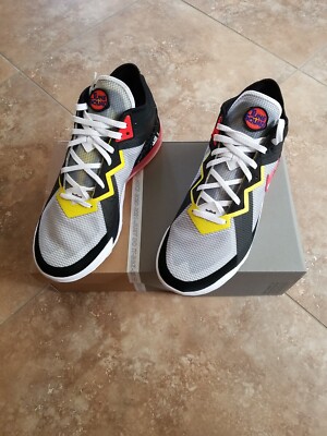 Nike Lebron 18 Low Sylvester vs Tweety Basketball Shoe Size 13 Men s Space Jam