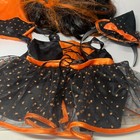 Bild 8 von 15