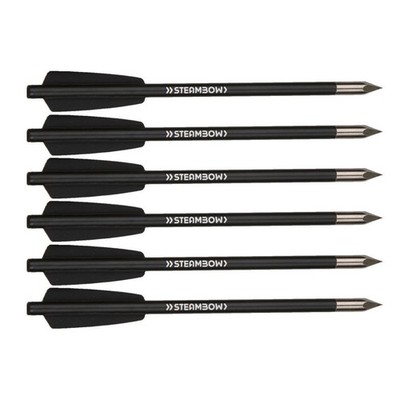 Steambow AR-Series Aluminum Bodkin Arrows Hardened Steel Tips 6-Pack