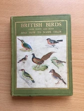 1914 BRITISH BIRDS, Their Nests & Eggs AND HOW TO NAME THEM  Walter M. Gallichan