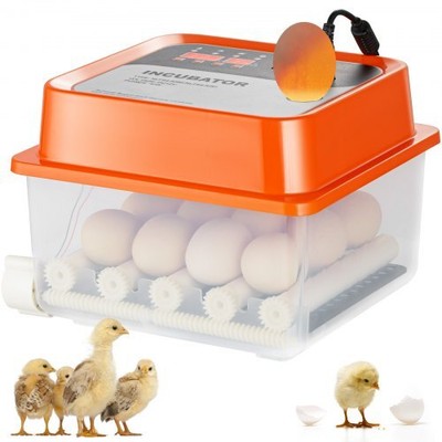Automatischer Eierinkubator, 12 Eier, Hühnerbrutmaschine, Dual Power Home