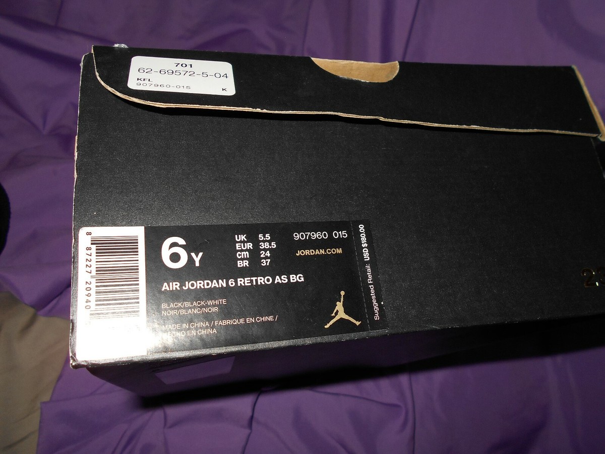 AIR JORDAN 6 RETRO ALL STAR CHAMELEON (GS) SIZE 6 | eBay
