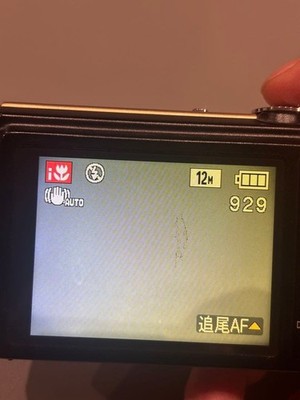 Panasonic LUMIX DMC-FP8 Digital Camera 12MP Compact Slim Model