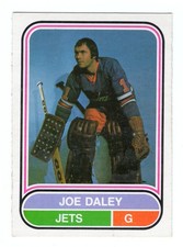 1975-76 O-Pee-Chee WHA Hockey Cards 20