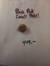 Pearl  Natural Conch