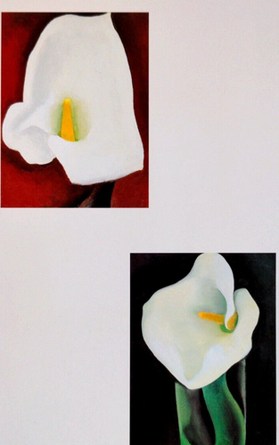 Georgia O' Keeffe CALLA LILLIES 2 Vintage Art Print Book Plates 48 50 - Picture 5 of 5
