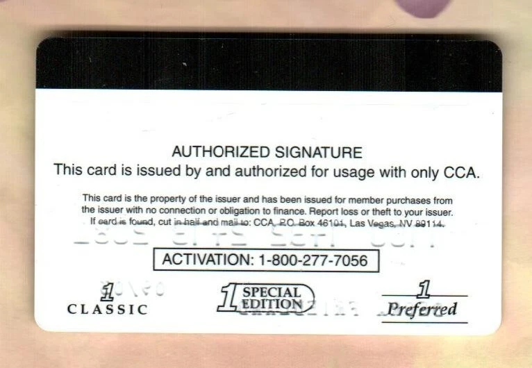 FIRST NATIONAL Statue of Liberty ( 2003 ) Promotional Credit Card ( $0 ) - Image 2 of 2