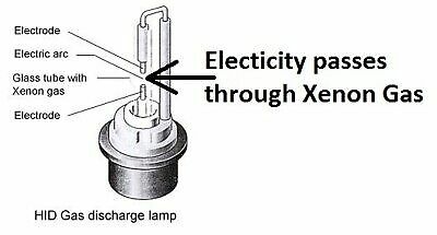 1 pr H1 HID Globes Bulbs 35W 55W 70W 12v 24v 4300K or 6000K or 8000K or 10000K - Picture 3 of 7