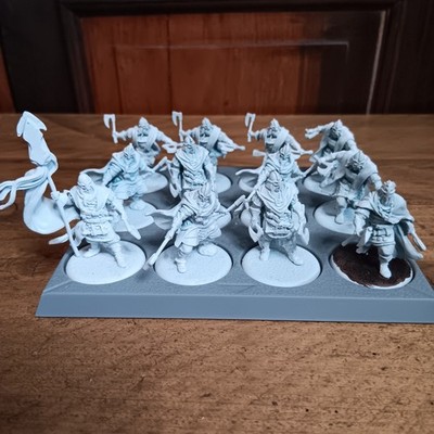 Ironborn Reavers - GreyJoy - A Song of Ice And Fire - ASOIAF - Primed