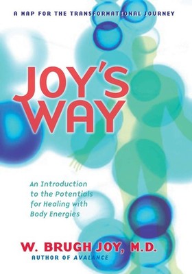 Joy's Way, A Map for the Transformational Journey: An Introduction to the Po...