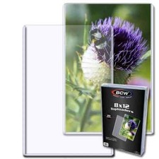 8x12 Photo / Print Top Load Holder BCW 100 pack Rigid Hard Plastic Holders