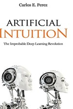 ARTIFICIAL INTUITION: THE IMPROBABLE DEEP LEARNING By Carlos E Perez *BRAND NEW*