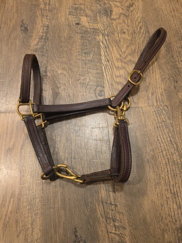 Leather Halter Cob