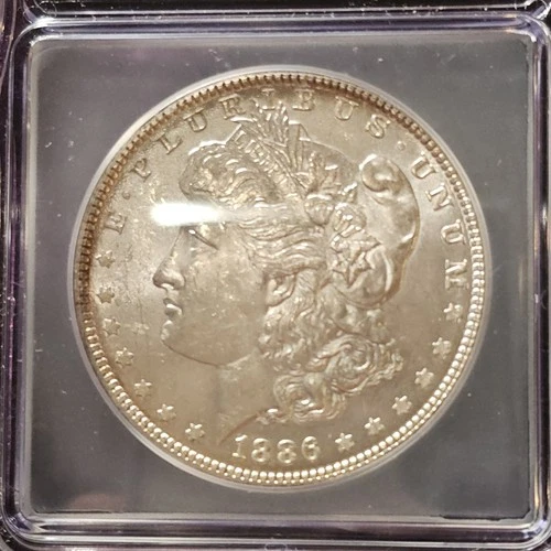 VIDEO 👀🔥BEAUTIFUL GOLD RIM TONED 🔥G MS63 1886 MORGAN SILVER DOLLAR