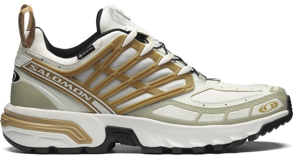 Salomon ACS Pro GORE-TEX Icicle Antelope for sale | eBay