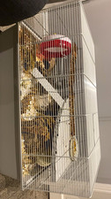 White Wire Steel Hamster Cage Standard Single Tier with Plastic Base