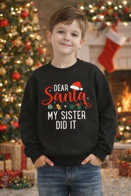 Boys  Dear Santa My Sister Did It Sweater Size 5/6