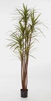 Artplants Deko Dracaena Magenta, Getopft, 140 BläTter, GrüN, 120Cm