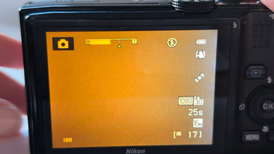 LCD has dark spot Nikon COOLPIX S8200 16.1MP Compact Digital