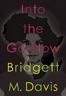 Into The Go Slow by Bridgett Davis (Paperback, 2014)