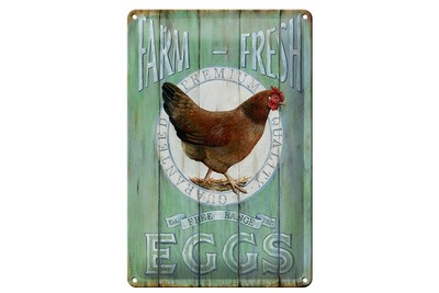 Schild Blech 20x30cm - Made in Germany - Spruch Huhn Farm fresh Eggs free range