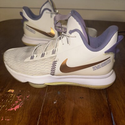 Nike LeBron Witness 5 Summit White Metallic Bronze