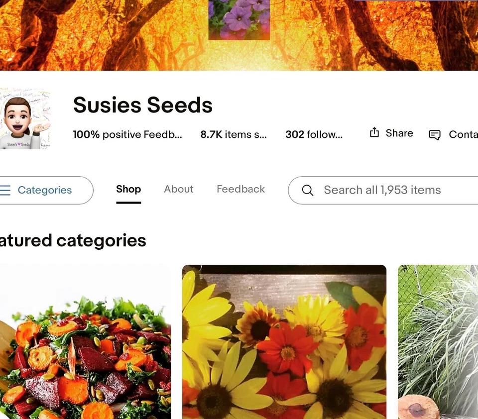 Tomato (Sweet Cherry) 260+ Seeds (Solanum)  Instructions Included x - Image 4 of 4